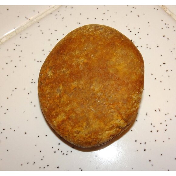 Maggie the Maggot Painted Rock oddity curiosity goth witchy funeral insect - Picture 10 of 15